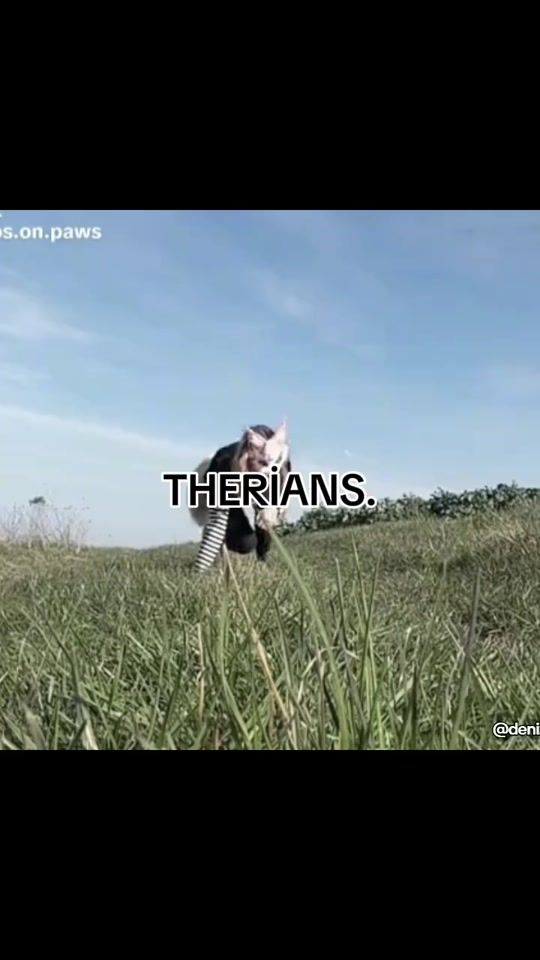 TikTok video thumbnail by denizddi_