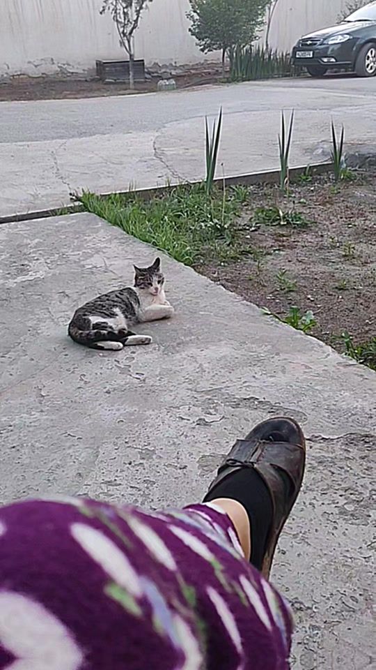 TikTok video thumbnail by 8leyla2