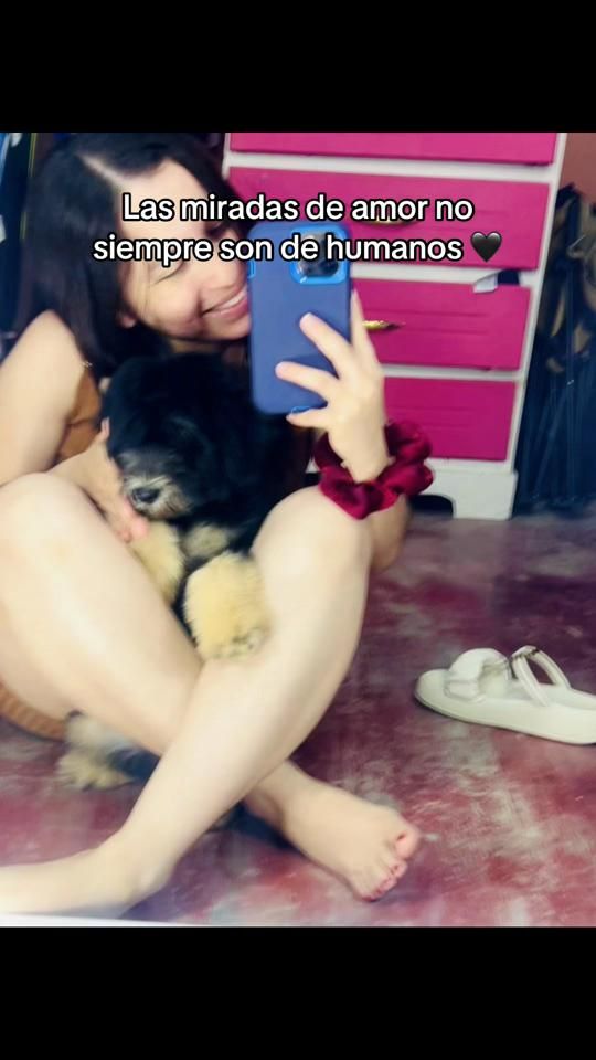 TikTok video thumbnail by chapahn.dz