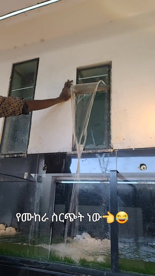 TikTok video thumbnail by yoas270