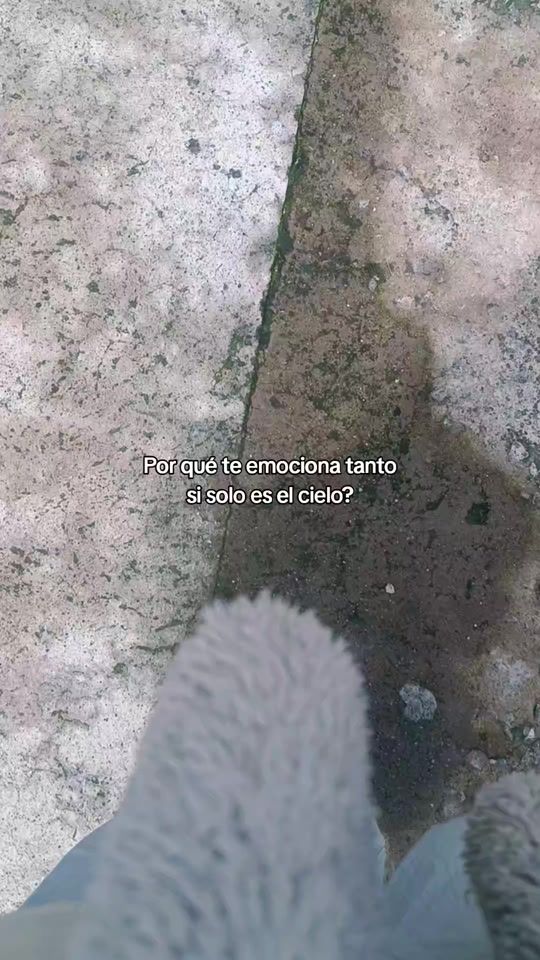 TikTok video thumbnail by lizzcob_al