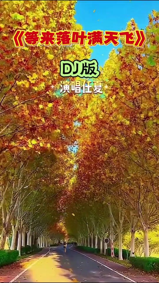 TikTok video thumbnail by ._323333
