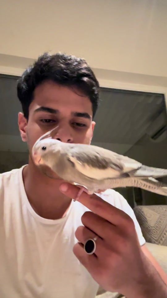 TikTok video thumbnail by theebban