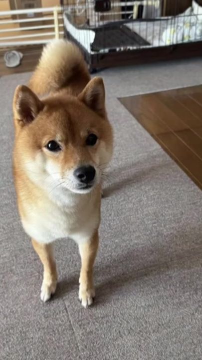 TikTok video thumbnail by yucayuca12