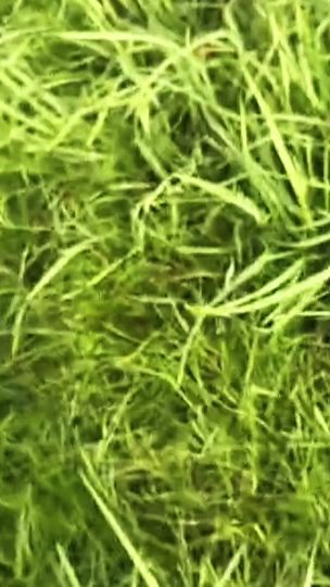 TikTok video thumbnail by bmw._aze