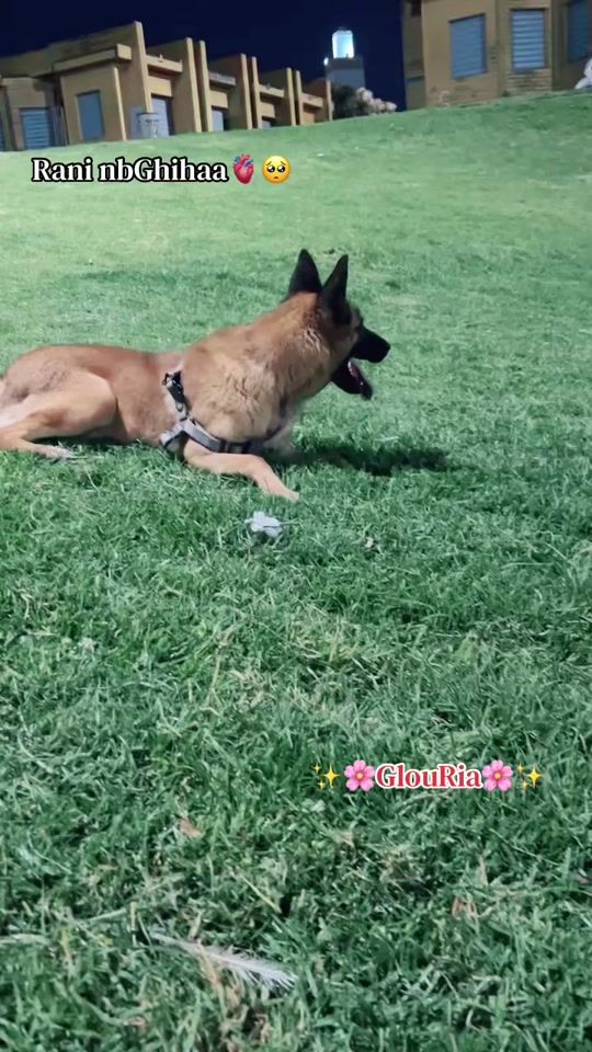 TikTok video thumbnail by douae_zakaria1