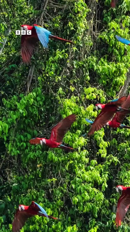 TikTok video thumbnail by aust33_3