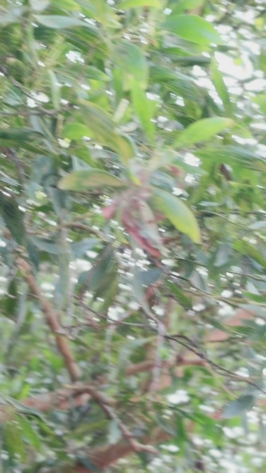 TikTok video thumbnail by lxky_02
