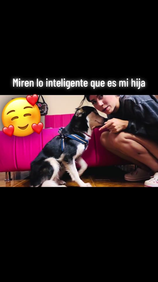 TikTok video thumbnail by soycelys_oficial2004