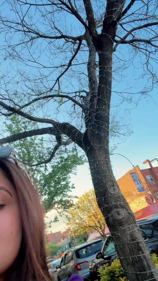 TikTok video thumbnail by islam_momoo