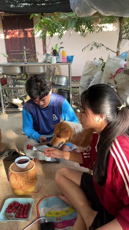 TikTok video thumbnail by boy38170