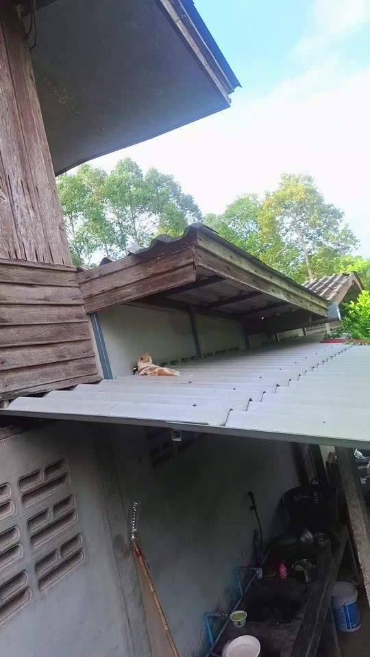 TikTok video thumbnail by user6902621232235