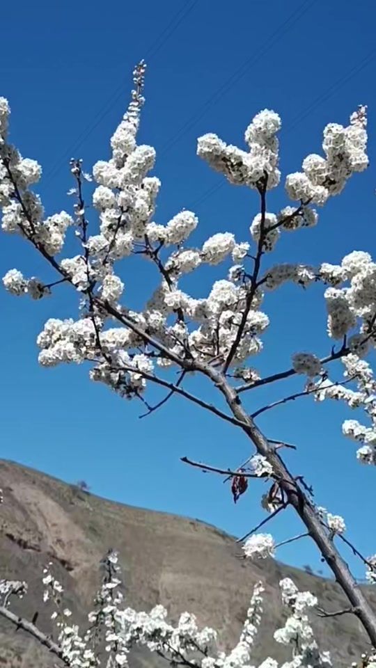 TikTok video thumbnail by user8817223953207