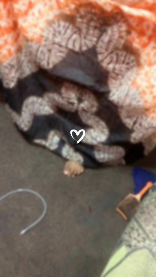 TikTok video thumbnail by hawee489