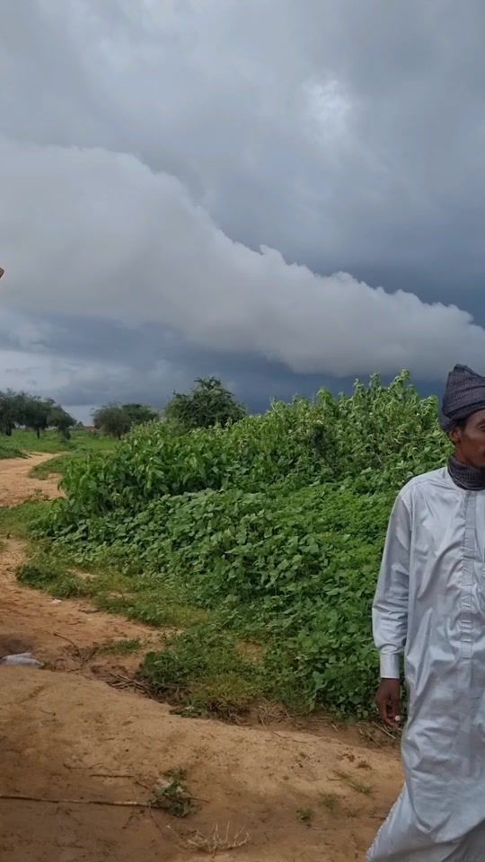 TikTok video thumbnail by teykello