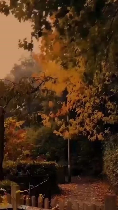 TikTok video thumbnail by __sadece_sen___