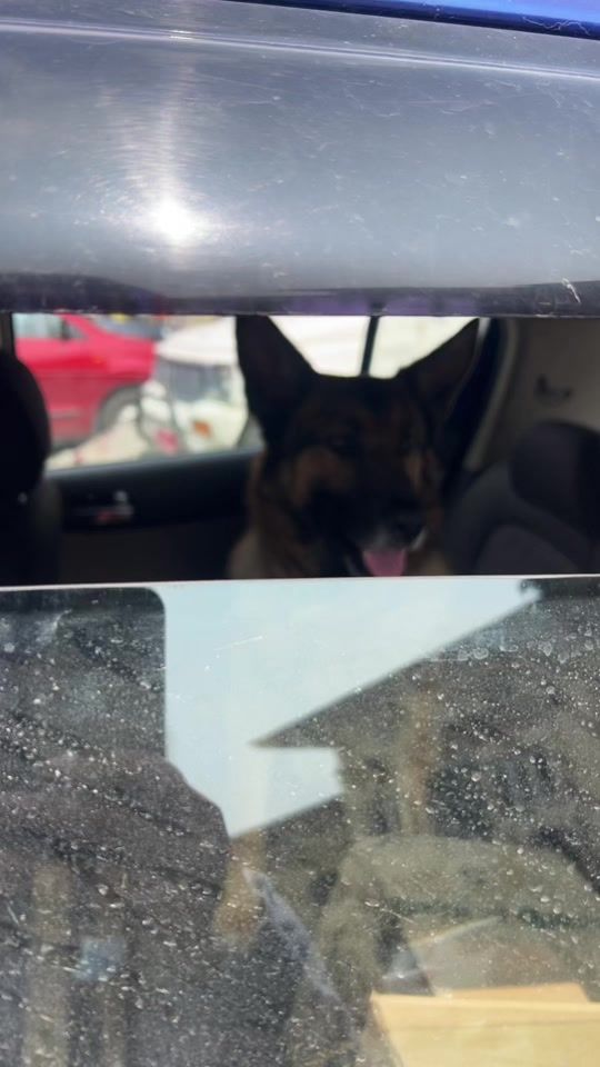 TikTok video thumbnail by bumochoden