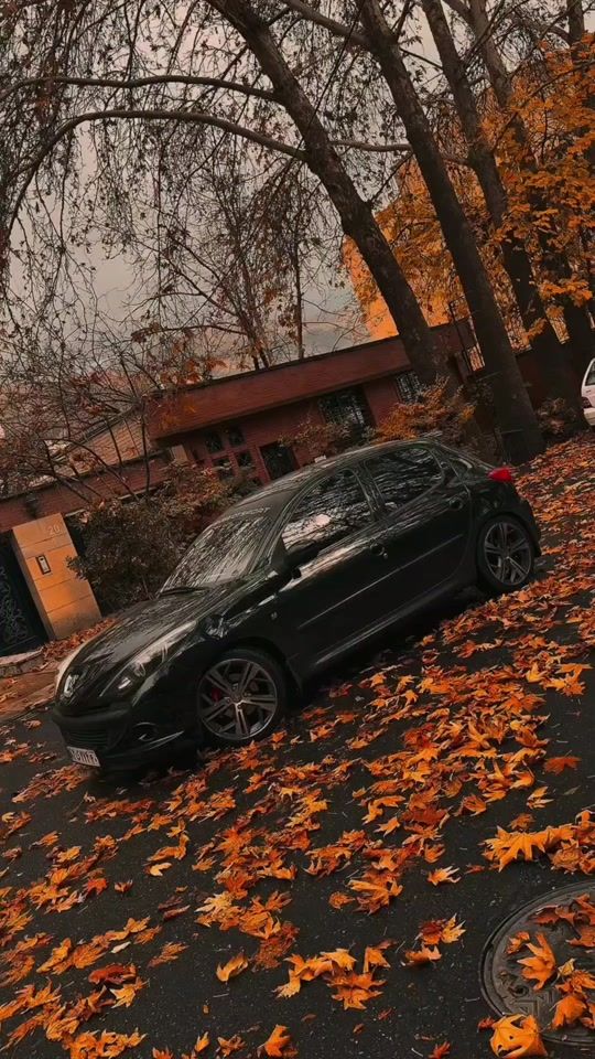 TikTok video thumbnail by aydin_207i