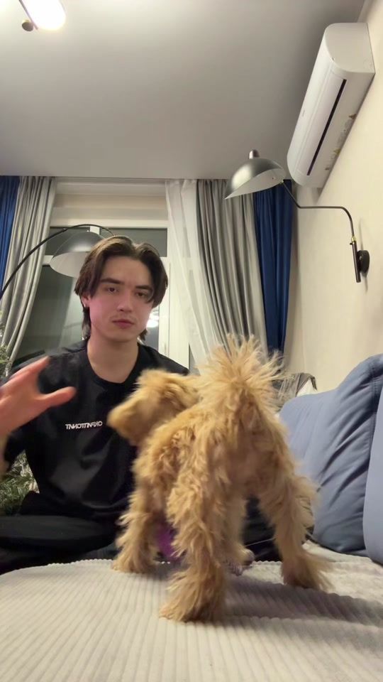 TikTok video thumbnail by anton._.nikitin0