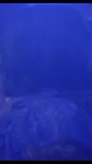 TikTok video thumbnail by blancapink0