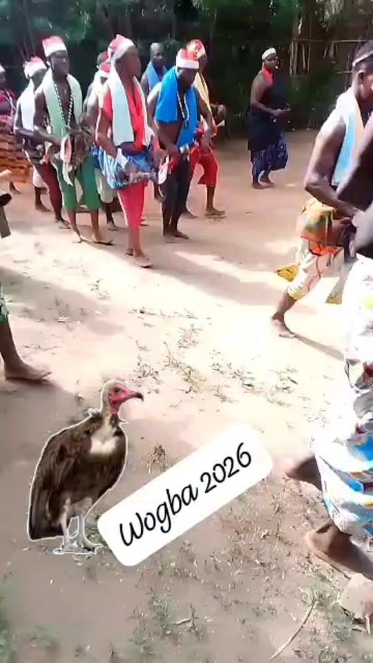 TikTok video thumbnail by togbe_8