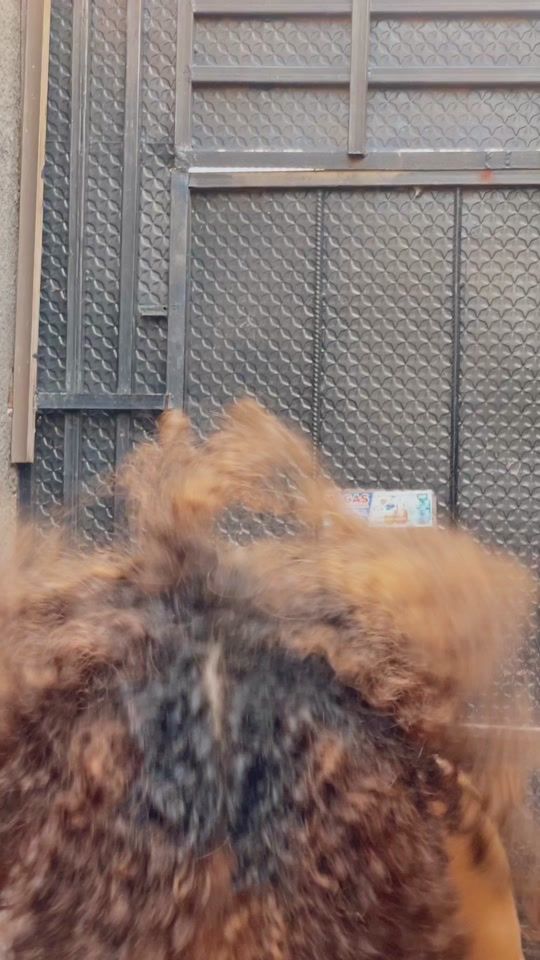 TikTok video thumbnail by meroneynatey4
