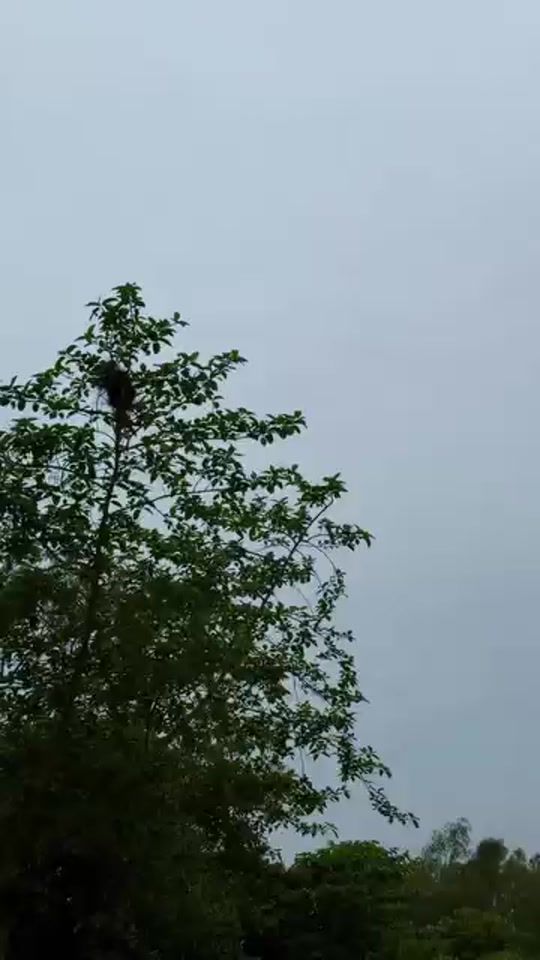 TikTok video thumbnail by asha.moni0985