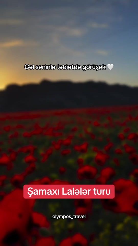 TikTok video thumbnail by turlar_serfeli
