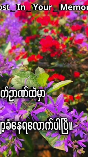 TikTok video thumbnail by lostinyourmemory2