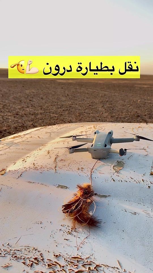 TikTok video thumbnail by tttjt