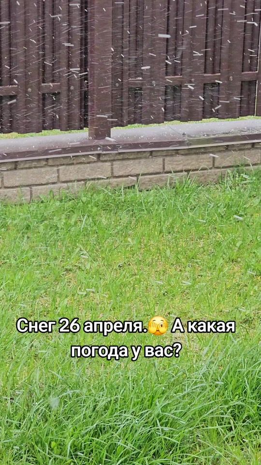 TikTok video thumbnail by myborisov
