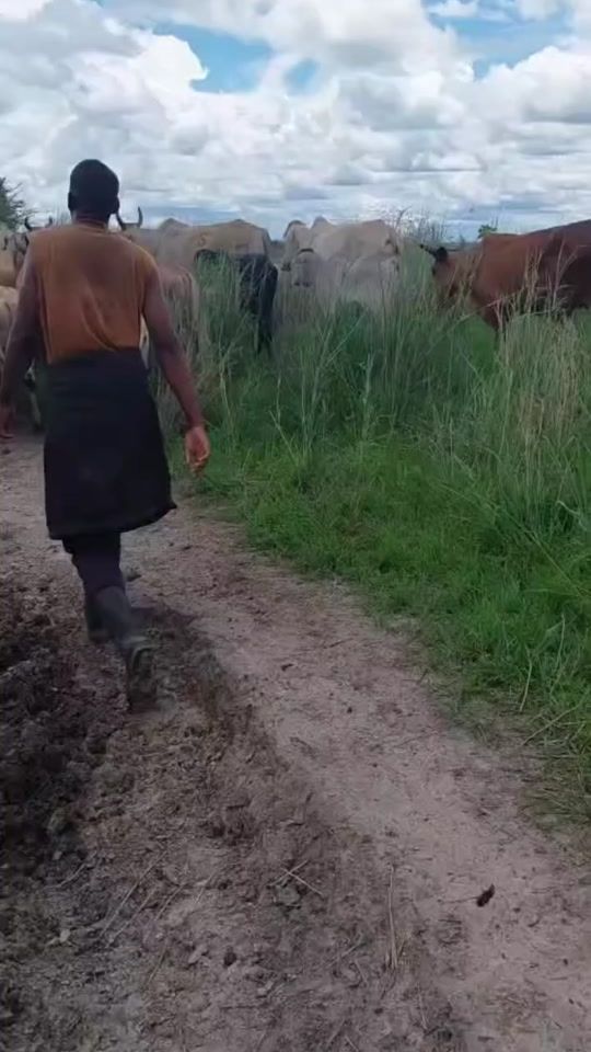 TikTok video thumbnail by maalazm