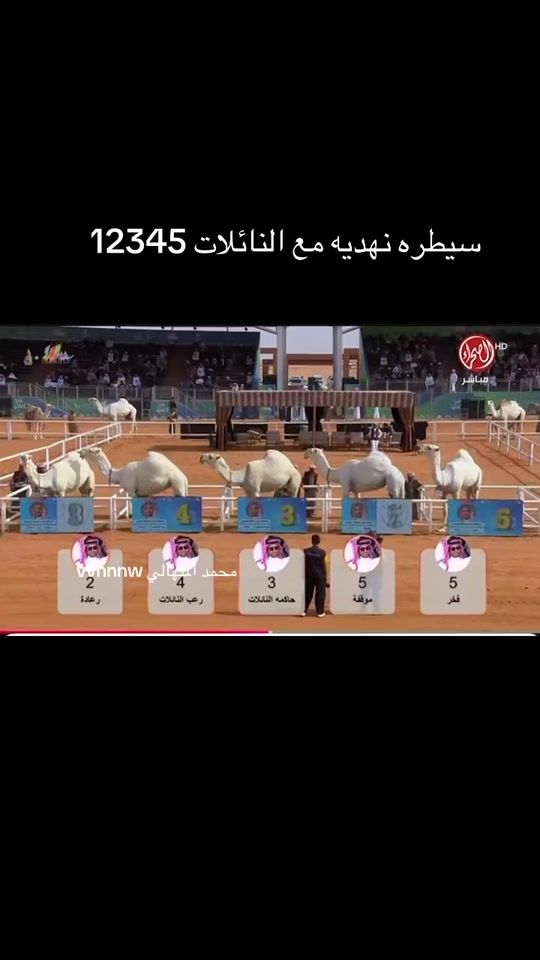 TikTok video thumbnail by wwm77maa39