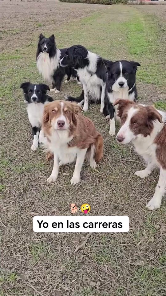 TikTok video thumbnail by oscarojito