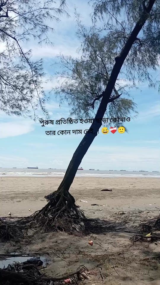 TikTok video thumbnail by mdemamuddin132