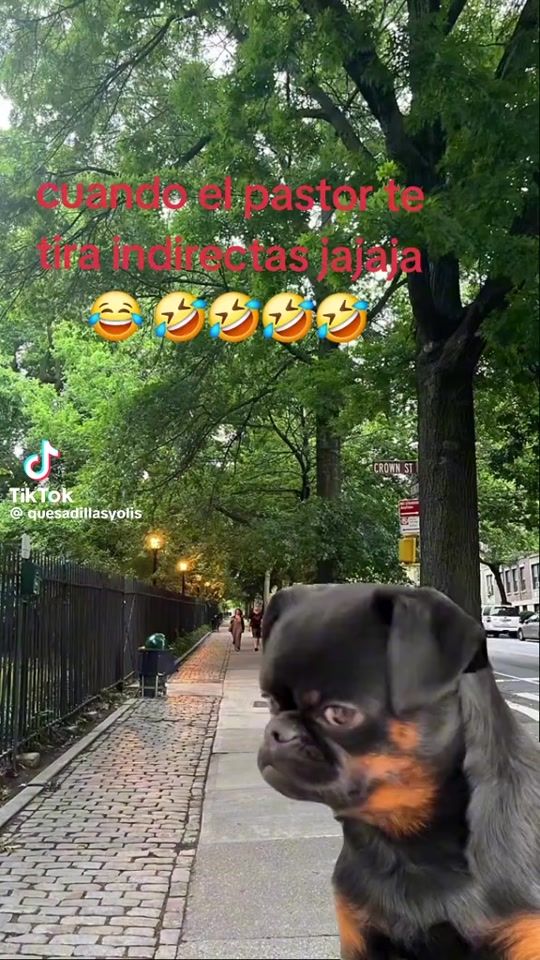 TikTok video thumbnail by userdsuib3kb6w