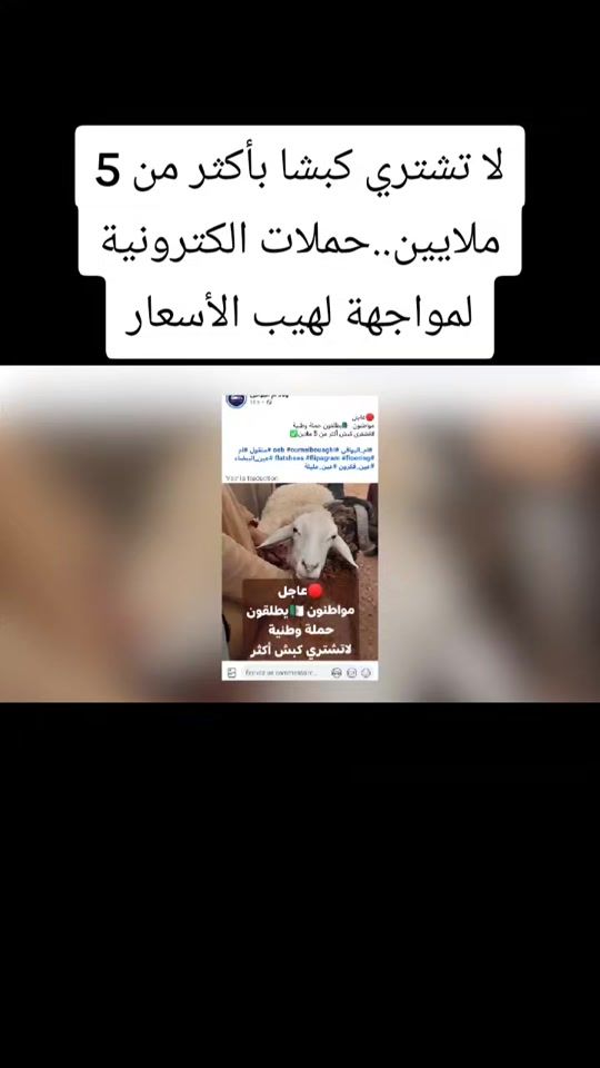 TikTok video thumbnail by azeddinebadlis