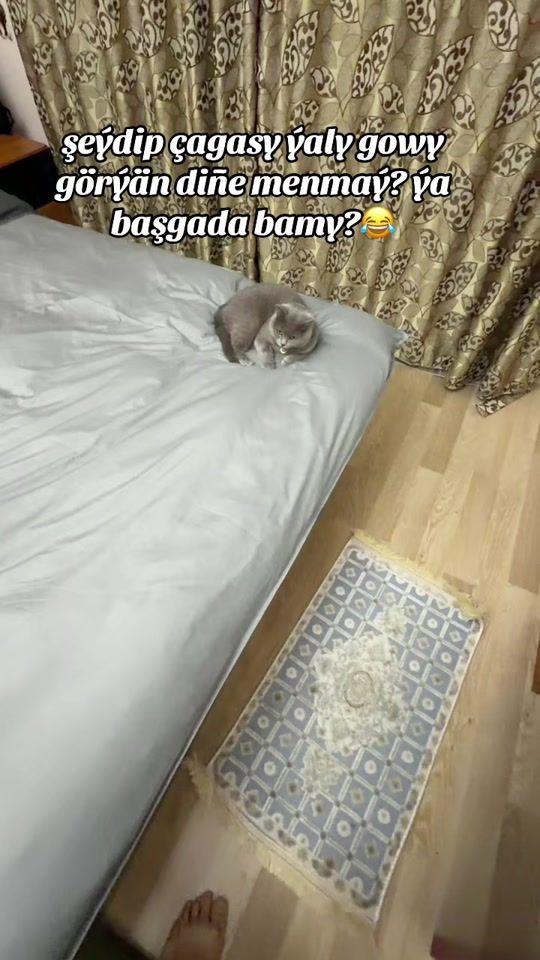 TikTok video thumbnail by meretgulyev24