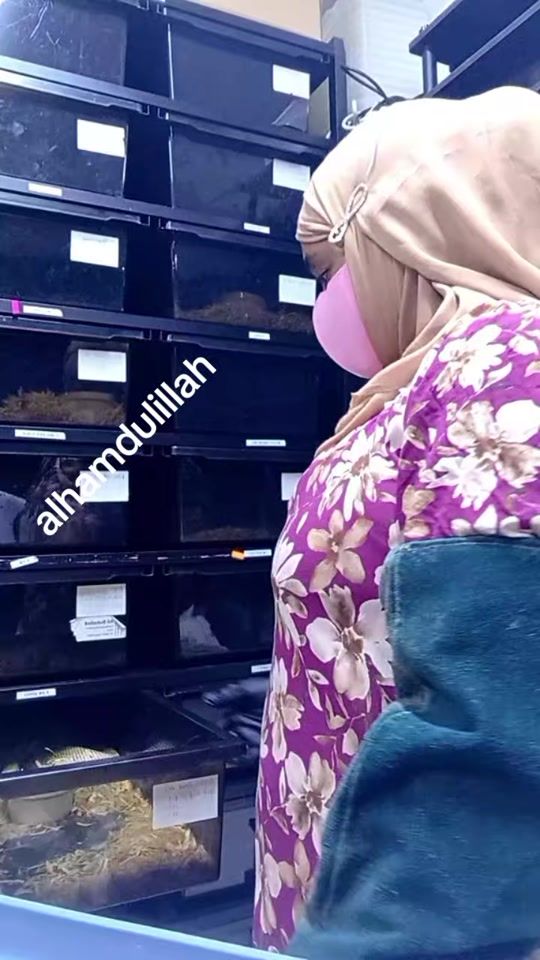 TikTok video thumbnail by munamohammed877