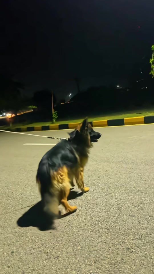 TikTok video thumbnail by samsab693