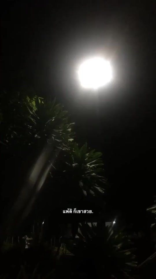 TikTok video thumbnail by thaweewat9050