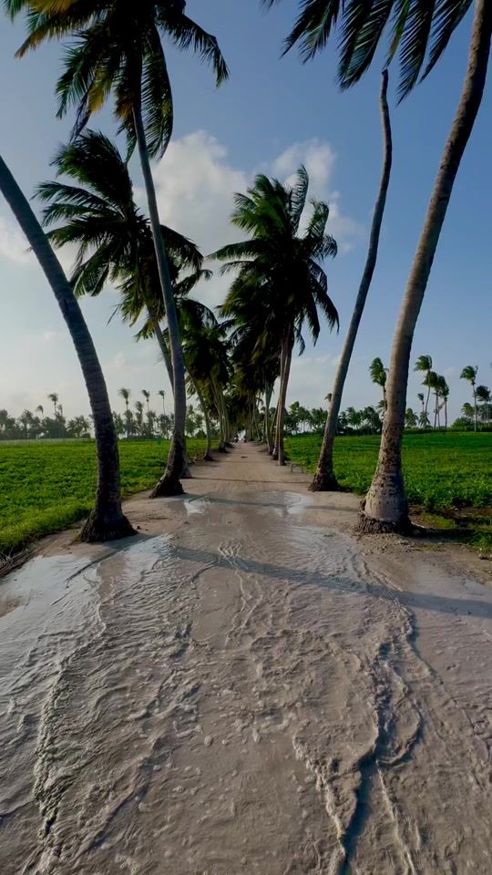 TikTok video thumbnail by mirooo10