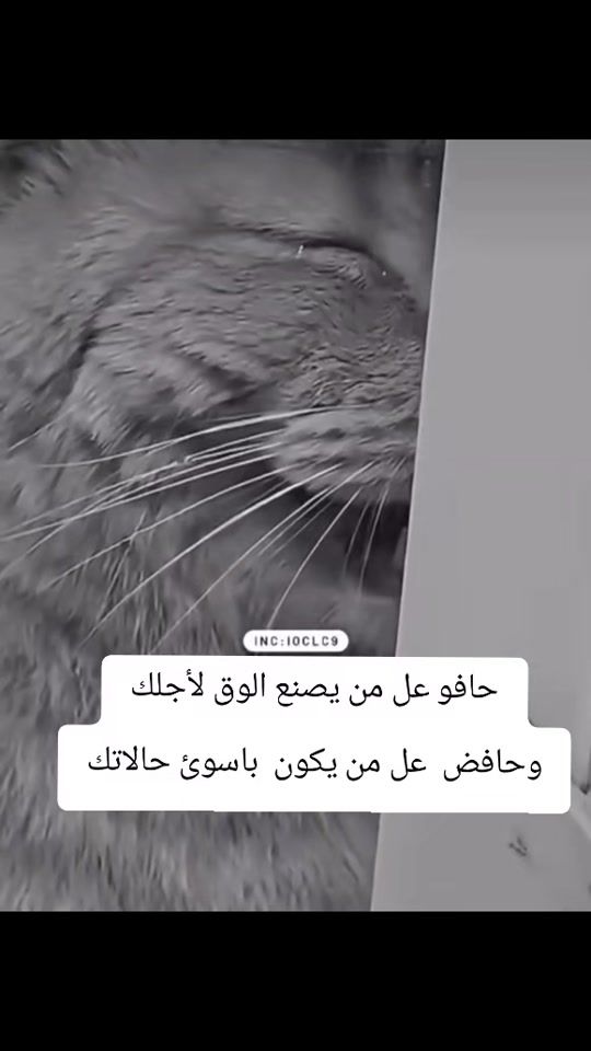 TikTok video thumbnail by _moq.tada