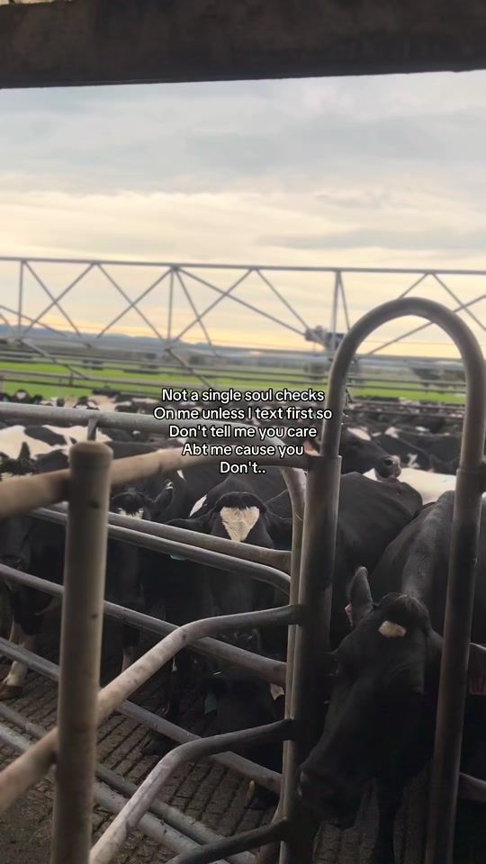 TikTok video thumbnail by ryanmcc72