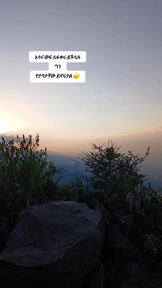 TikTok video thumbnail by halyomedia