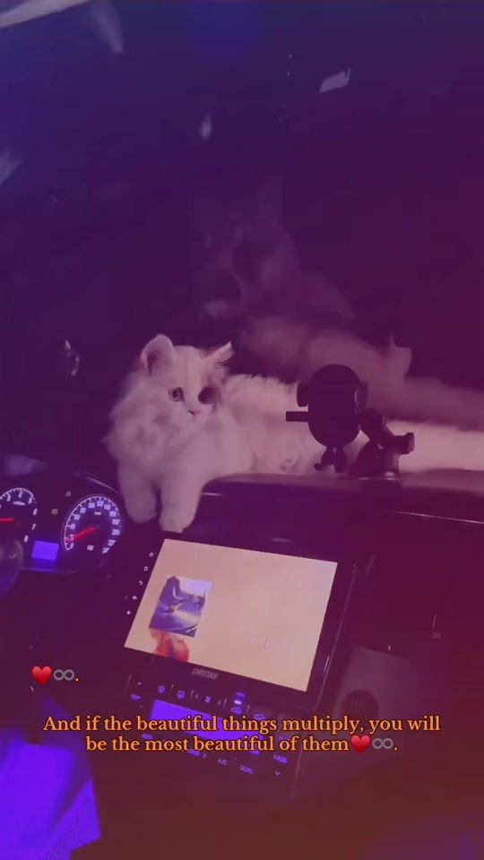 TikTok video thumbnail by iiix_0.1