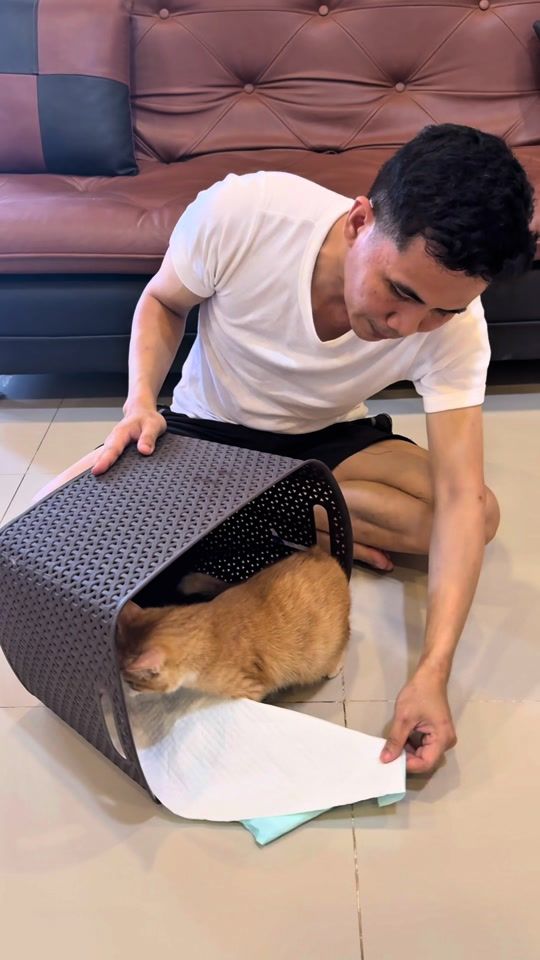 TikTok video thumbnail by kucing.yatiim
