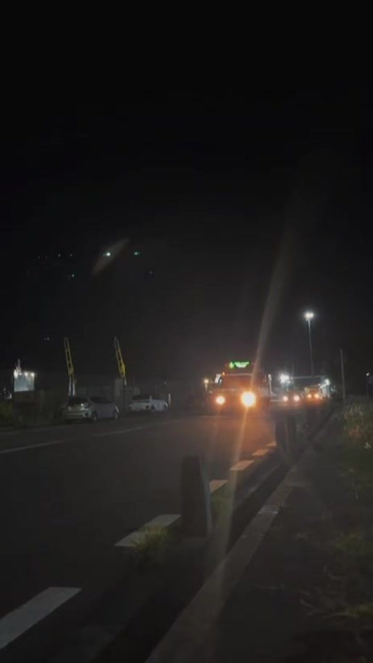 TikTok video thumbnail by teel_farm