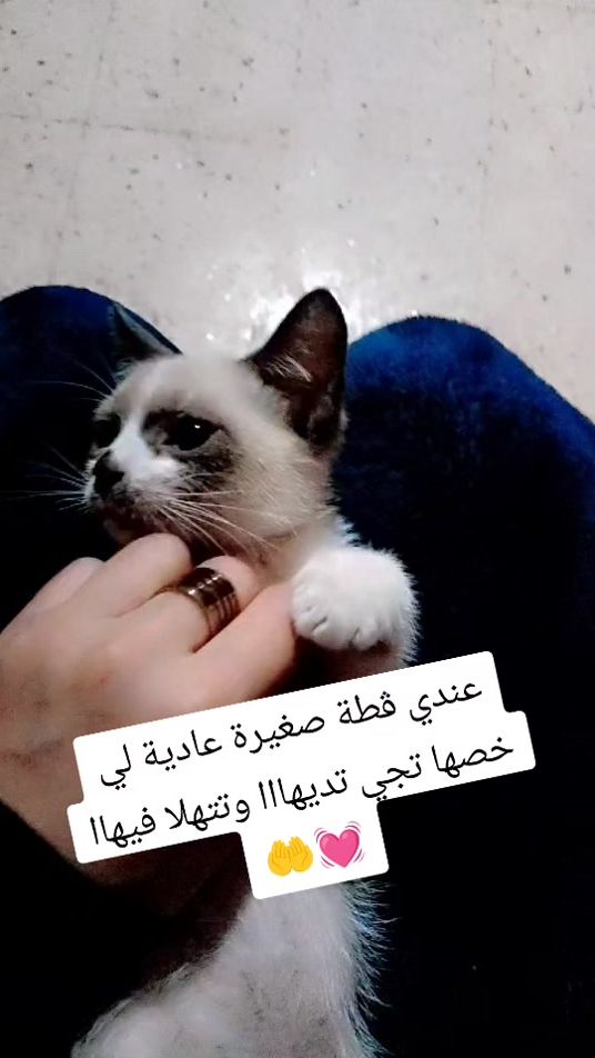 TikTok video thumbnail by user1883231277914