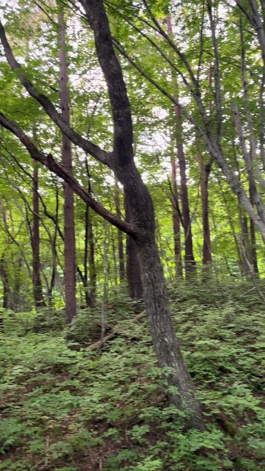 TikTok video thumbnail by ts_brz_